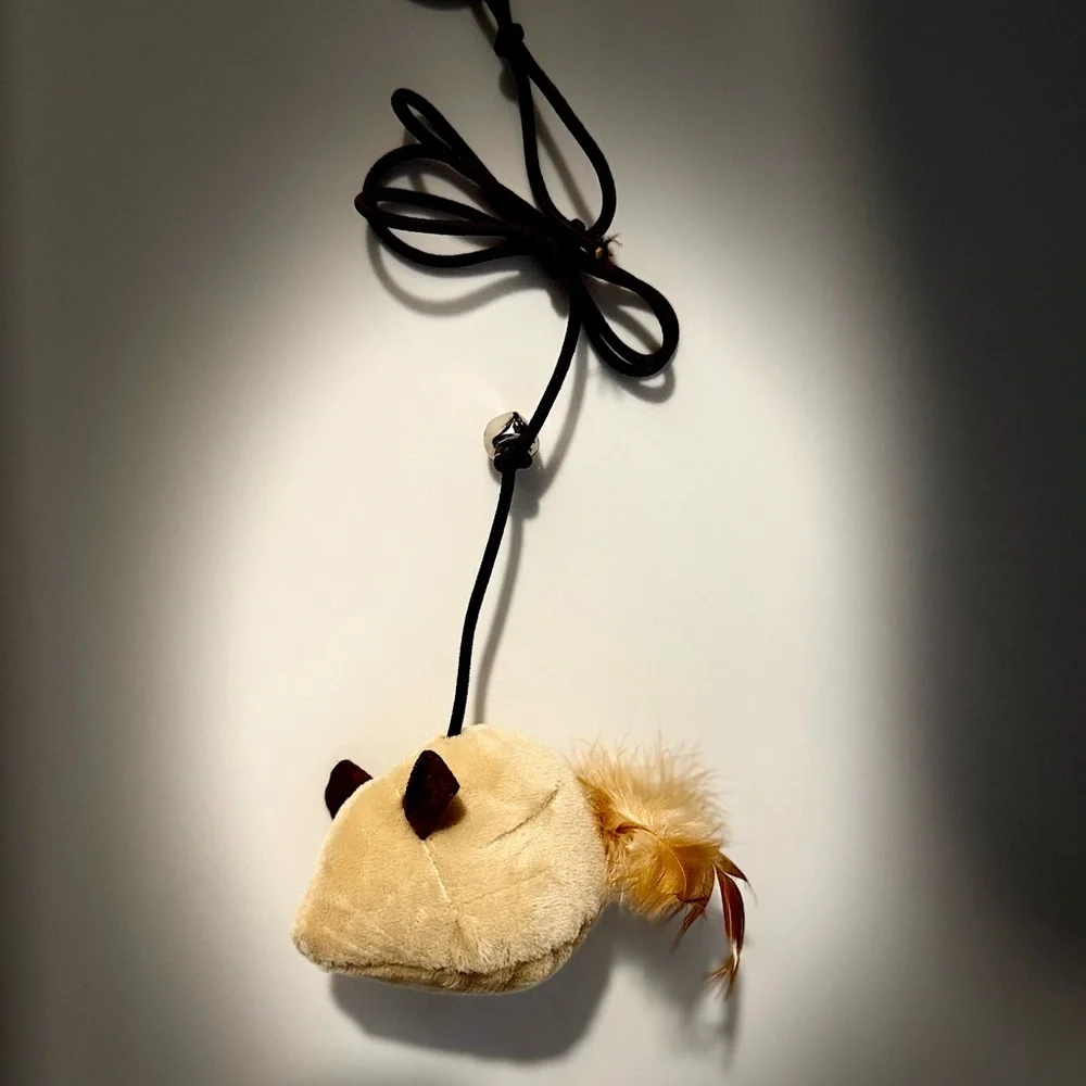 Colorful Cat Toy Set with Feathers